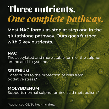 nac glutathione pathway vs glutamate showing biosynthesis and metabolism of glutathione. I've always believed that healthy N-Acetylcysteine (NAC): Impacts on Human NAC Mechanisms and Indications for